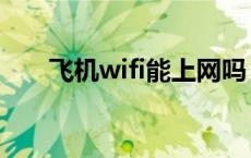 飞机wifi能上网吗（飞机上有wifi吗）