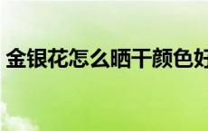 金银花怎么晒干颜色好看（金银花怎么晒干）