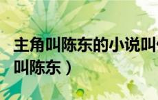 主角叫陈东的小说叫什么名字（什么小说主角叫陈东）