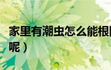 家里有潮虫怎么能根除（家里有潮虫怎么除掉呢）