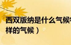 西双版纳是什么气候特征（西双版纳属于什么样的气候）