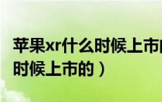 苹果xr什么时候上市的价钱多少（苹果xr什么时候上市的）
