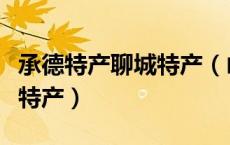 承德特产聊城特产（山东聊城特产有哪些主要特产）