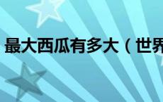 最大西瓜有多大（世界上最大的西瓜多大呀）