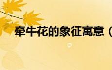 牵牛花的象征寓意（牵牛花的象征意义）