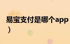 易宝支付是哪个app（易宝支付是哪个平台的）