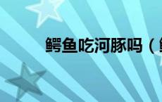 鳄鱼吃河豚吗（鳄鱼会吃水豚吗）
