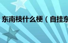 东南枝什么梗（自挂东南枝是什么梗怎么接）