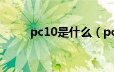 pc10是什么（pcam10什么意思）