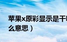 苹果x原彩显示是干嘛的（苹果x原彩显示什么意思）