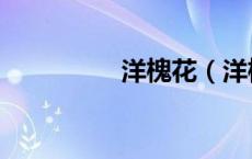 洋槐花（洋槐花怎么吃）