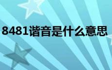 8481谐音是什么意思（842谐音是什么意思）