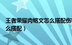王者荣耀肉铭文怎么搭配伤害最高（王者荣耀肉通用铭文怎么搭配）
