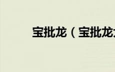 宝批龙（宝批龙大不同什么意思）