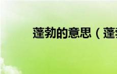 蓬勃的意思（蓬勃发展什么意思）
