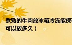 煮熟的牛肉放冰箱冷冻能保存多久（炒熟的牛肉在冰箱冷冻可以放多久）
