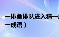 一排鱼排队进入猜一成语（三只鱼排队进入猜一成语）