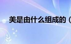 美是由什么组成的（美是上中下结构吗）