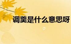 调羹是什么意思呀（调羹是什么意思）