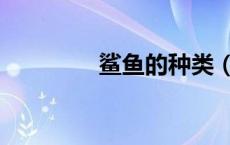鲨鱼的种类（鲨鱼的种类）