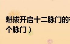 魁拔开启十二脉门的有几个（魁拔一共能开几个脉门）