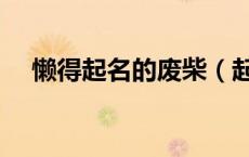 懒得起名的废柴（起名废柴是什么意思）