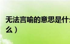 无法言喻的意思是什么（无法言喻的意思是什么）