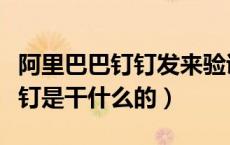 阿里巴巴钉钉发来验证码啥意思（阿里巴巴钉钉是干什么的）