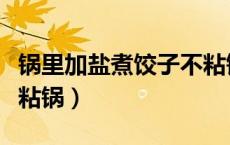 锅里加盐煮饺子不粘锅（为什么煮饺子加盐不粘锅）