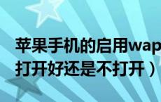 苹果手机的启用wapi需要打开吗（苹果wapi打开好还是不打开）