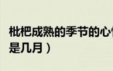 枇杷成熟的季节的心情说说（枇杷成熟的季节是几月）