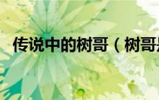 传说中的树哥（树哥是什么电影里的人物）