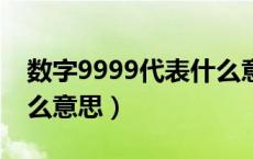 数字9999代表什么意思（数字99977代表什么意思）
