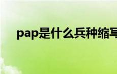 pap是什么兵种缩写（pap是什么部队）
