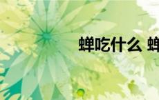 蝉吃什么 蝉喜欢吃什么