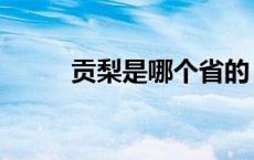 贡梨是哪个省的（贡梨是雪梨吗）