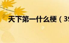 天下第一什么梗（39天下第一是什么梗）