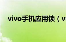 vivo手机应用锁（vivo应用锁怎么设置）