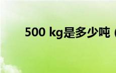 500 kg是多少吨（500kg是多少斤）