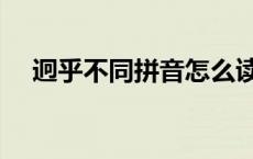 迥乎不同拼音怎么读（迥乎不同的意思）