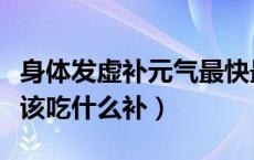 身体发虚补元气最快最好的食物（体内缺铜应该吃什么补）