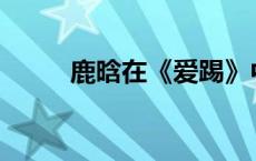 鹿晗在《爱踢》中扮演什么角色？