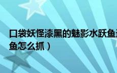 口袋妖怪漆黑的魅影水跃鱼进化（口袋妖怪漆黑的魅影水跃鱼怎么抓）