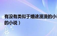 有没有类似于婚途漫漫的小说（有没有类似于漫漫情陆情节的小说）