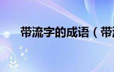 带流字的成语（带流字的成语有哪些）