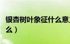 银杏树叶象征什么意义（银杏的象征意义是什么）