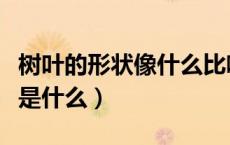 树叶的形状像什么比喻句大全集（树叶的形状是什么）
