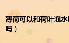 薄荷可以和荷叶泡水吗（薄荷可以和荷叶泡水吗）