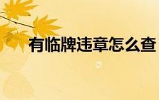 有临牌违章怎么查（临牌如何查违章）