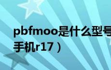 pbfmoo是什么型号手机（pbemoo是什么手机r17）